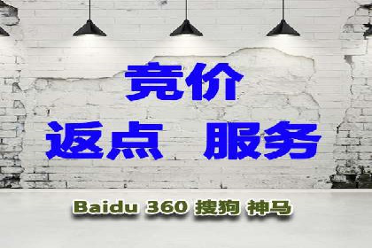 SEM推广代运营公司：实战案例解析